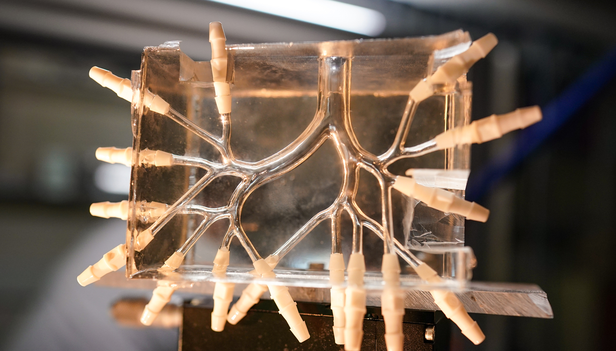Human-like in vitro model of the lungs for preclinical research